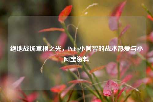 绝地战场草根之光，Pubg小阿智的战术热爱与小阿宝资料