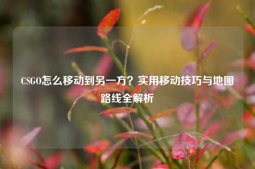 CSGO怎么移动到另一方？实用移动技巧与地图路线全解析