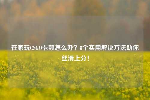在家玩CSGO卡顿怎么办？8个实用解决 *** 助你丝滑上分！