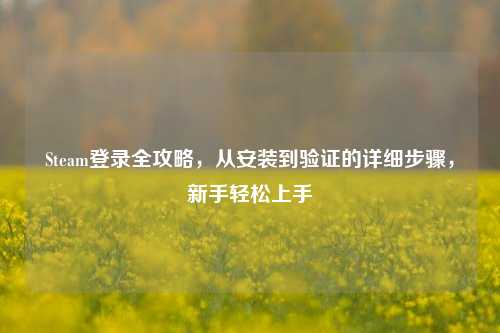 Steam登录全攻略，从安装到验证的详细步骤，新手轻松上手