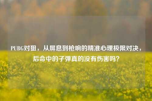 PUBG对狙，从屏息到枪响的精准心理极限对决，后命中的子弹真的没有伤害吗？