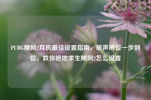PUBG飓风2耳机更佳设置指南，听声辨位一步到位，教你绝地求生飓风2怎么设置