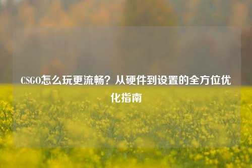 CSGO怎么玩更流畅？从硬件到设置的全方位优化指南