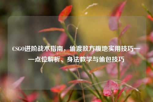 CSGO进阶战术指南，偷渡敌方腹地实用技巧——点位解析、身法教学与偷包技巧