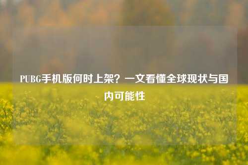 PUBG手机版何时上架？一文看懂全球现状与国内可能性