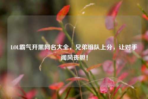 LOL霸气开黑网名大全，兄弟组队上分，让对手闻风丧胆！