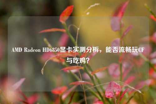 AMD Radeon HD6850显卡实测分析，能否流畅玩CF与吃鸡？