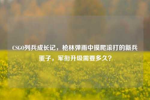 CSGO列兵成长记，枪林弹雨中摸爬滚打的新兵蛋子，军衔升级需要多久？