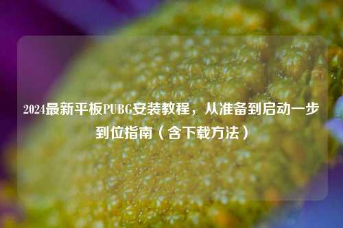 2024最新平板PUBG安装教程，从准备到启动一步到位指南（含下载 *** ）
