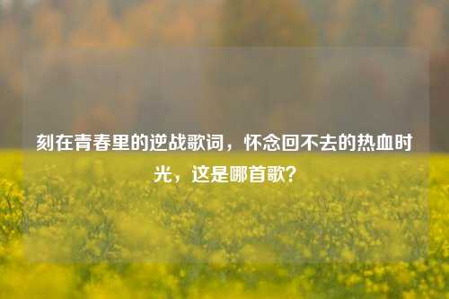 刻在青春里的逆战歌词，怀念回不去的热血时光，这是哪首歌？