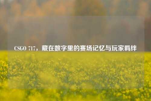 CSGO 717，藏在数字里的赛场记忆与玩家羁绊