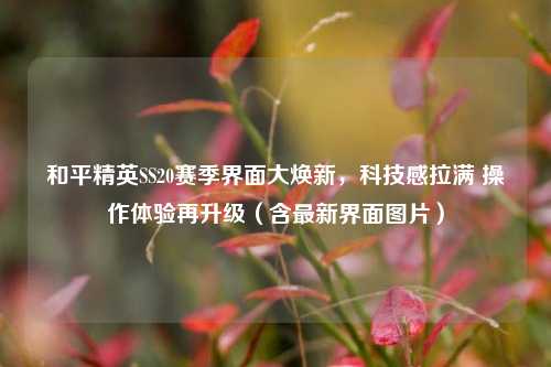 和平精英SS20赛季界面大焕新，科技感拉满 操作体验再升级（含最新界面图片）