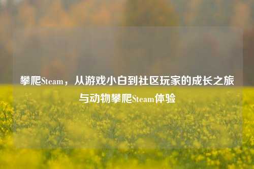攀爬Steam，从游戏小白到社区玩家的成长之旅与动物攀爬Steam体验
