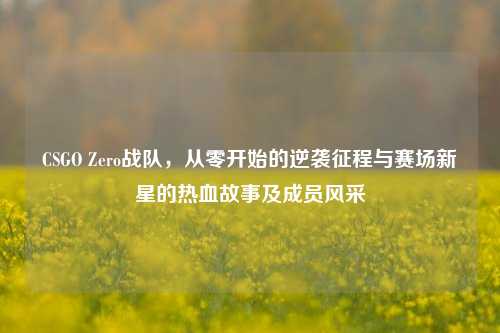 CSGO Zero战队，从零开始的逆袭征程与赛场新星的热血故事及成员风采