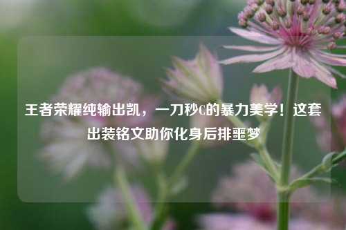 王者荣耀纯输出凯，一刀秒C的暴力美学！这套出装铭文助你化身后排噩梦