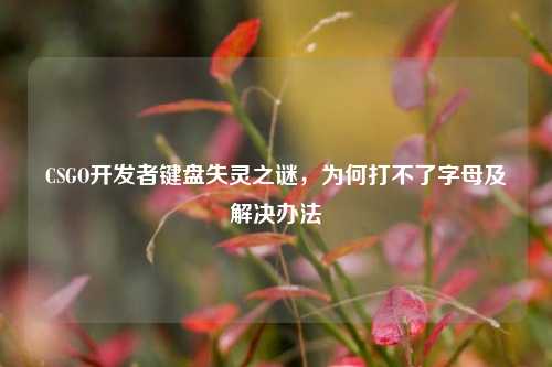 CSGO开发者键盘失灵之谜，为何打不了字母及解决办法