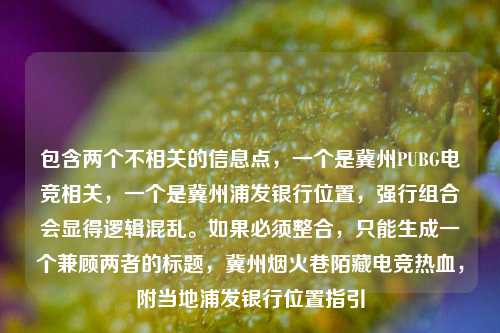 包含两个不相关的信息点，一个是冀州PUBG电竞相关，一个是冀州浦发银行位置，强行组合会显得逻辑混乱。如果必须整合，只能生成一个兼顾两者的标题，冀州烟火巷陌藏电竞热血，附当地浦发银行位置指引