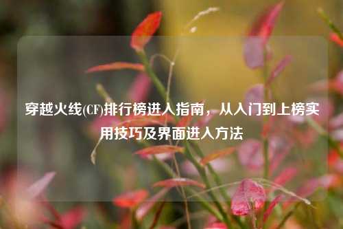 穿越火线(CF)排行榜进入指南，从入门到上榜实用技巧及界面进入 *** 