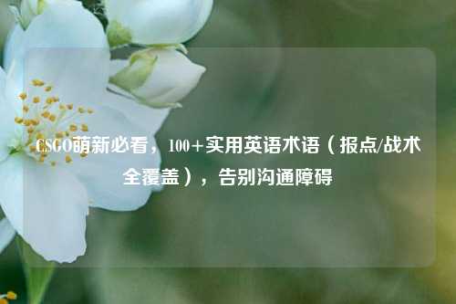 CSGO萌新必看，100+实用英语术语（报点/战术全覆盖），告别沟通障碍
