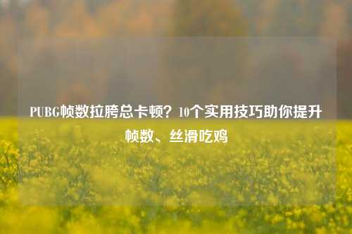 PUBG帧数拉胯总卡顿？10个实用技巧助你提升帧数、丝滑吃鸡