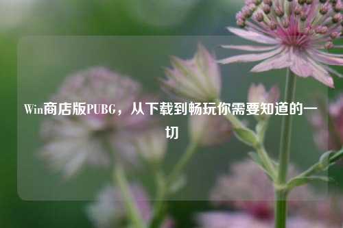 Win商店版PUBG，从下载到畅玩你需要知道的一切