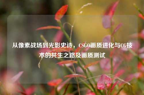 从像素战场到光影史诗，CSGO画质进化与CG技术的共生之路及画质测试