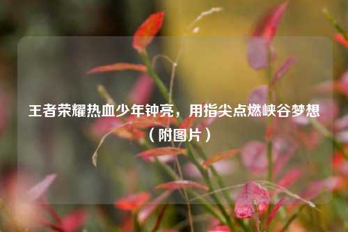 王者荣耀热血少年钟亮，用指尖点燃峡谷梦想（附图片）