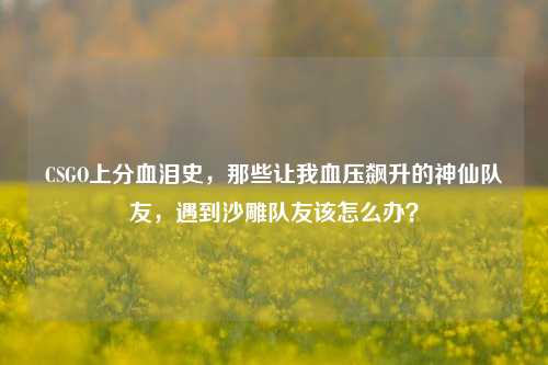 CSGO上分血泪史，那些让我血压飙升的神仙队友，遇到沙雕队友该怎么办？