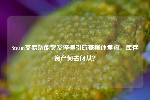 Steam交易功能突发停摆引玩家集体焦虑，库存资产何去何从？