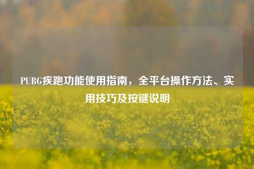 PUBG疾跑功能使用指南，全平台操作 *** 、实用技巧及按键说明