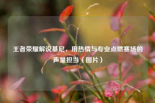 王者荣耀解说基尼,用热情与专业点燃赛场的声量担当(图片)