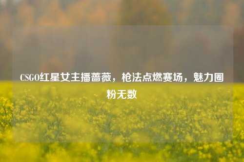 CSGO红星女主播蔷薇，枪法点燃赛场，魅力圈粉无数