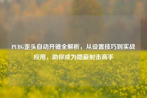 PUBG歪头自动开镜全解析，从设置技巧到实战应用，助你成为隐蔽射击高手