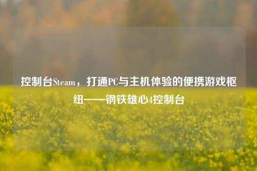 控制台Steam,打通PC与主机体验的便携游戏枢纽——钢铁雄心4控制台