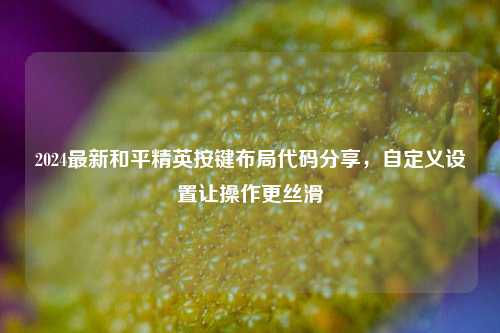 2024最新和平精英按键布局代码分享,自定义设置让操作更丝滑