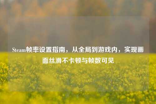 Steam帧率设置指南,从全局到游戏内,实现画面丝滑不卡顿与帧数可见