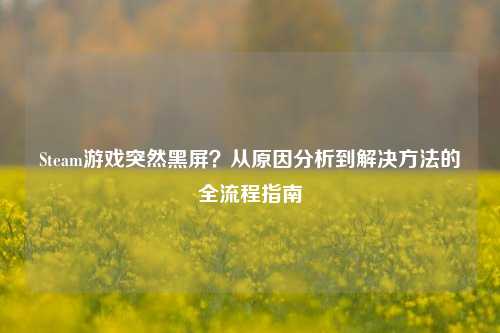 Steam游戏突然黑屏？从原因分析到解决 *** 的全流程指南