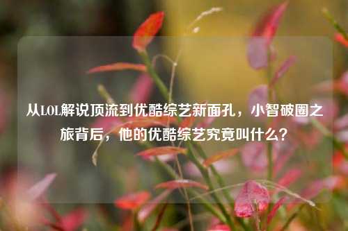 从LOL解说顶流到优酷综艺新面孔,小智破圈之旅背后,他的优酷综艺究竟叫什么?