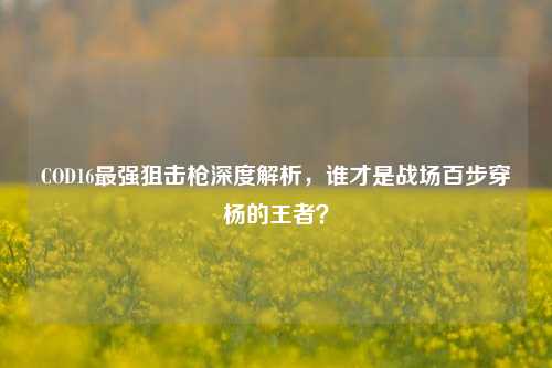 COD16最强狙击枪深度解析，谁才是战场百步穿杨的王者？
