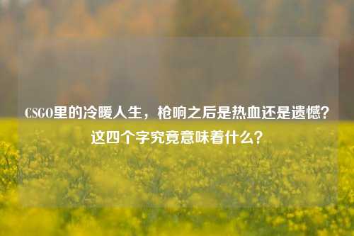CSGO里的冷暖人生,枪响之后是热血还是遗憾?这四个字究竟意味着什么?