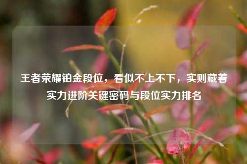 王者荣耀铂金段位,看似不上不下,实则藏着实力进阶关键密码与段位实力排名