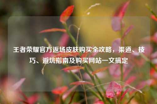王者荣耀官方返场皮肤购买全攻略,渠道、技巧、避坑指南及购买网站一文搞定