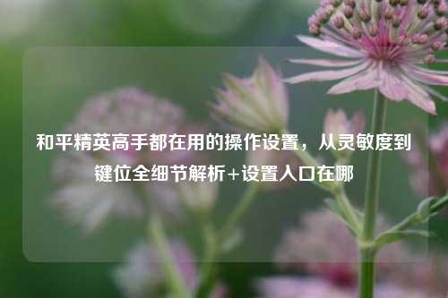 和平精英高手都在用的操作设置,从灵敏度到键位全细节解析+设置入口在哪