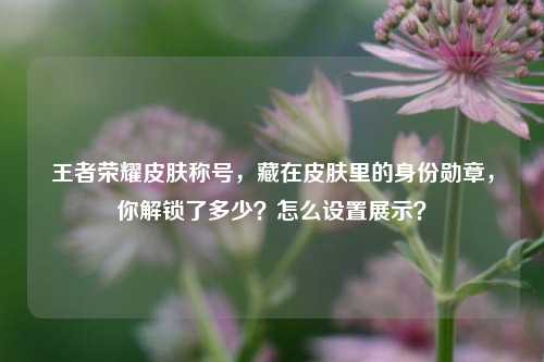 王者荣耀皮肤称号,藏在皮肤里的身份勋章,你解锁了多少?怎么设置展示?