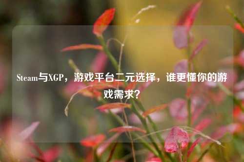 Steam与XGP,游戏平台二元选择,谁更懂你的游戏需求?