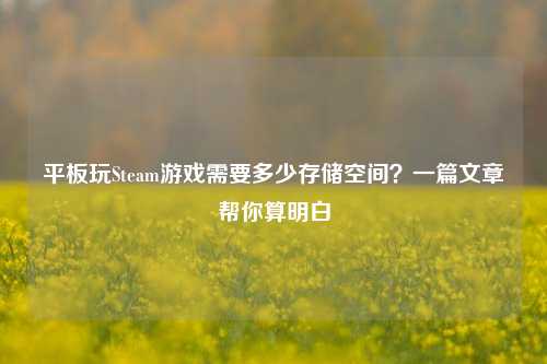 平板玩Steam游戏需要多少存储空间?一篇文章帮你算明白