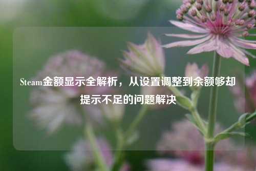 Steam金额显示全解析,从设置调整到余额够却提示不足的问题解决