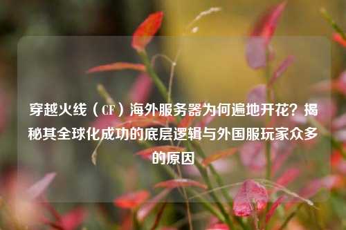 穿越火线(CF)海外服务器为何遍地开花?揭秘其全球化成功的底层逻辑与外国服玩家众多的原因