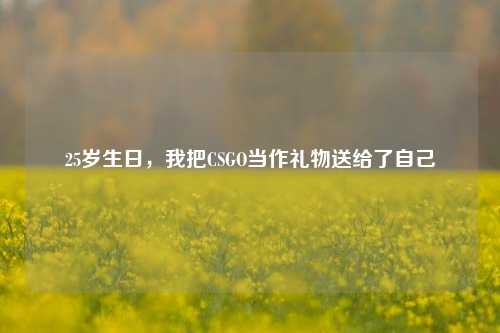 25岁生日，我把CSGO当作礼物送给了自己