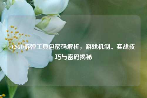CSGO拆弹工具包密码解析,游戏机制、实战技巧与密码揭秘